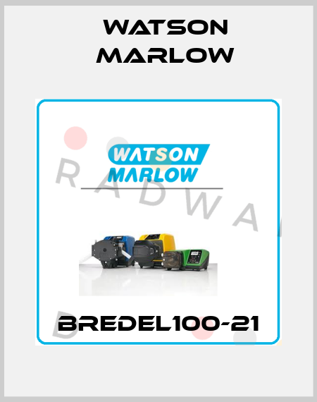 Bredel100-21 Watson Marlow