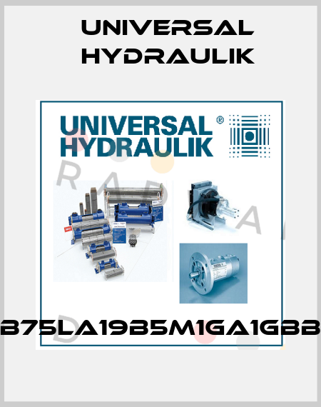 B75LA19B5M1GA1GBB Universal Hydraulik