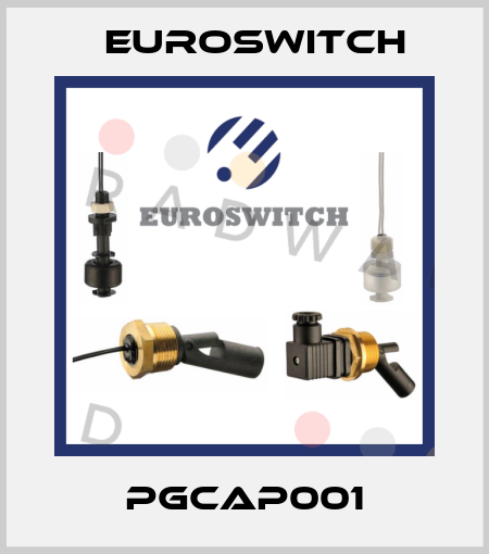 PGCAP001 Euroswitch