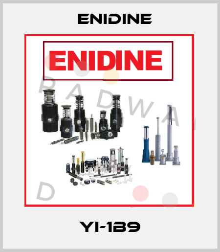YI-1B9 Enidine