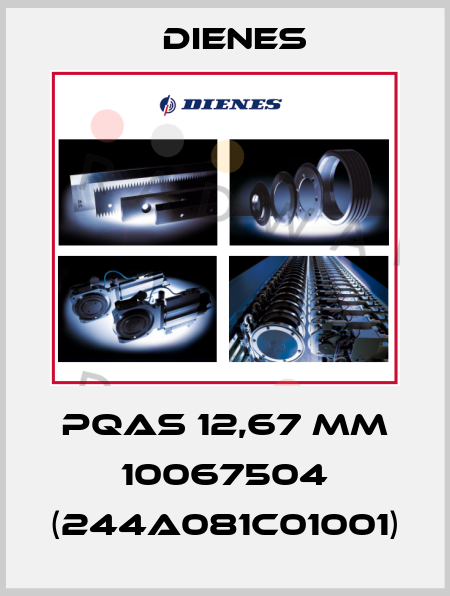 PQAS 12,67 mm 10067504 (244A081C01001) Dienes