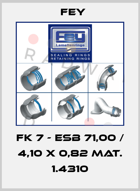 FK 7 - ESB 71,00 / 4,10 x 0,82 Mat. 1.4310 Fey
