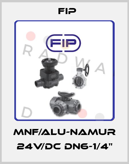 MNF/ALU-NAMUR 24V/DC DN6-1/4" Fip