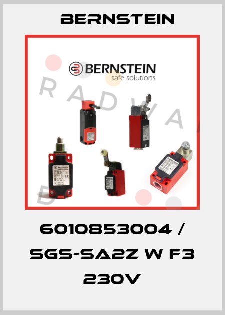 6010853004 / SGS-SA2Z W F3 230V Bernstein