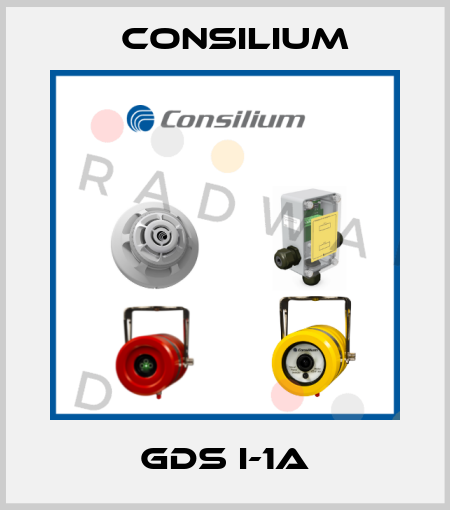GDS I-1A Consilium