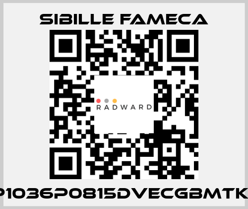 VDP1036P0815DVECGBMTKRI1T Sibille Fameca