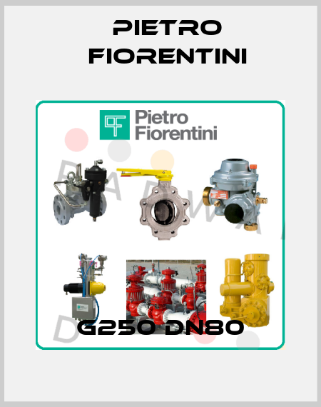 G250 DN80 Pietro Fiorentini
