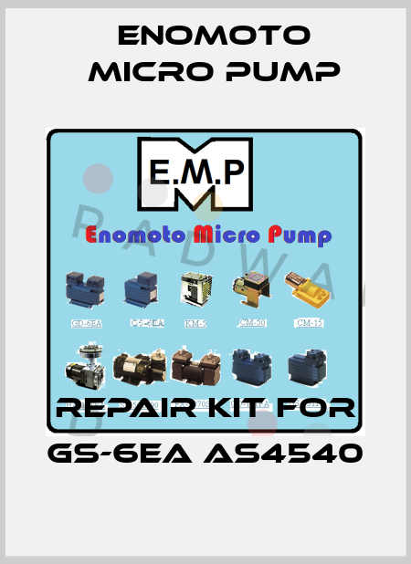repair kit for GS-6EA AS4540 Enomoto Micro Pump