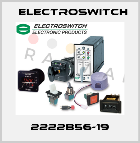 2222856-19 Electroswitch