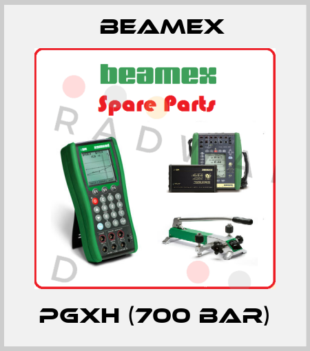 PGXH (700 bar) Beamex