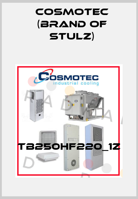 TB250HF220_1Z Cosmotec (brand of Stulz)