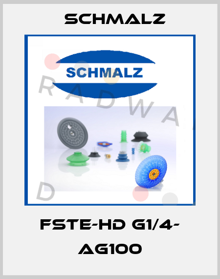 FSTE-HD G1/4- AG100 Schmalz