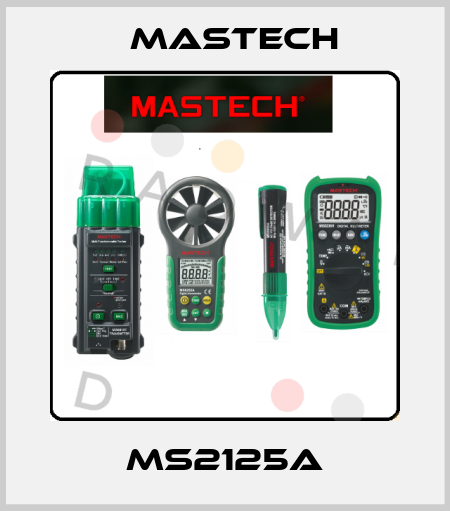 MS2125A Mastech
