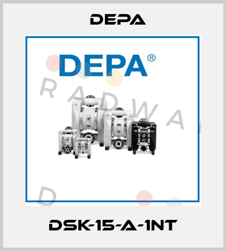 DSK-15-A-1NT Depa