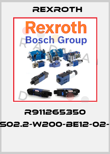 R911265350 DDS02.2-W200-BE12-02-FW  Rexroth