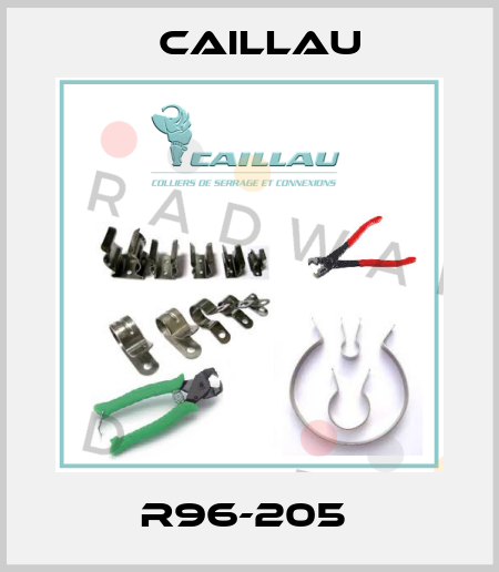 R96-205  Caillau