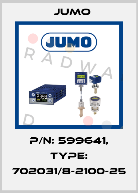 P/N: 599641, Type: 702031/8-2100-25 Jumo