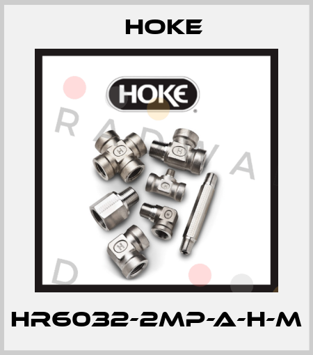 HR6032-2MP-A-H-M Hoke