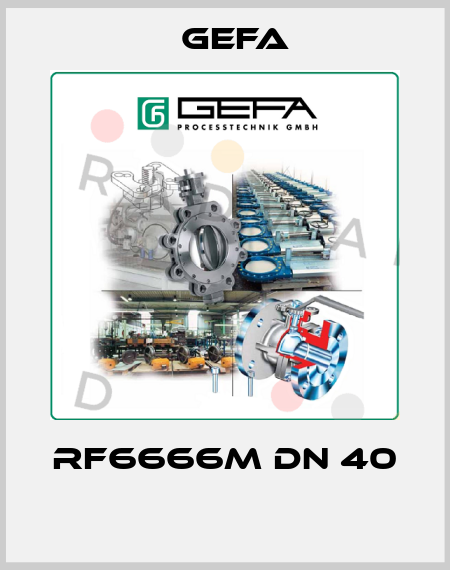 RF6666M DN 40  Gefa