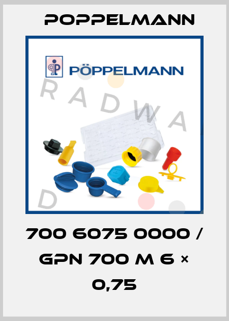 700 6075 0000 / GPN 700 M 6 × 0,75 Poppelmann