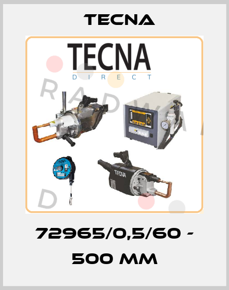 72965/0,5/60 - 500 MM Tecna