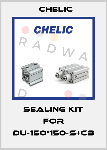 Sealing kit for DU-150*150-S+CB Chelic