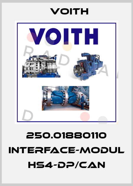 250.01880110 INTERFACE-Modul HS4-DP/CAN Voith