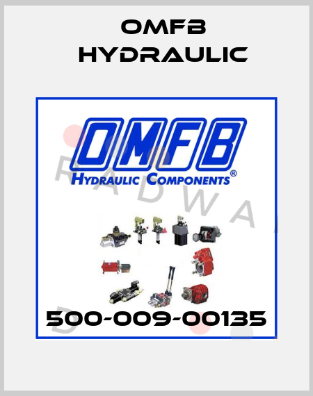 500-009-00135 OMFB Hydraulic