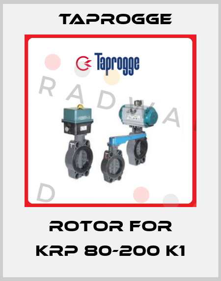 Rotor for KRP 80-200 K1 Taprogge