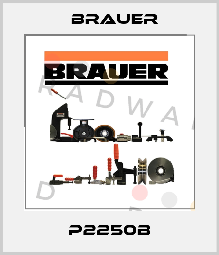 P2250B Brauer