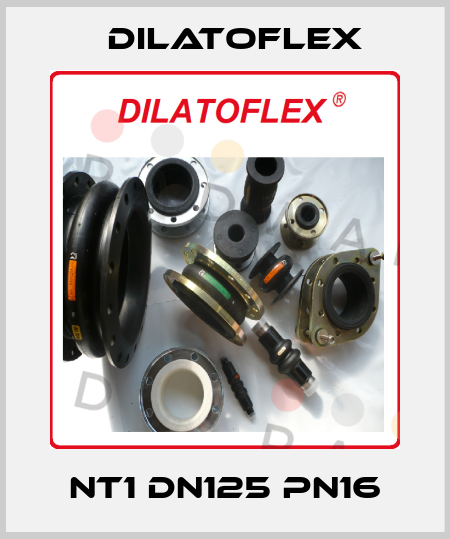 NT1 DN125 PN16 DILATOFLEX