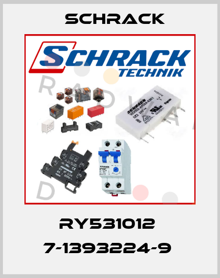 RY531012  7-1393224-9  Schrack