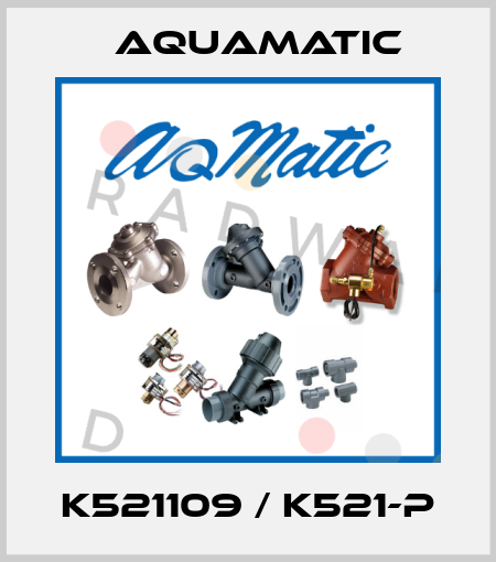 K521109 / K521-P AquaMatic