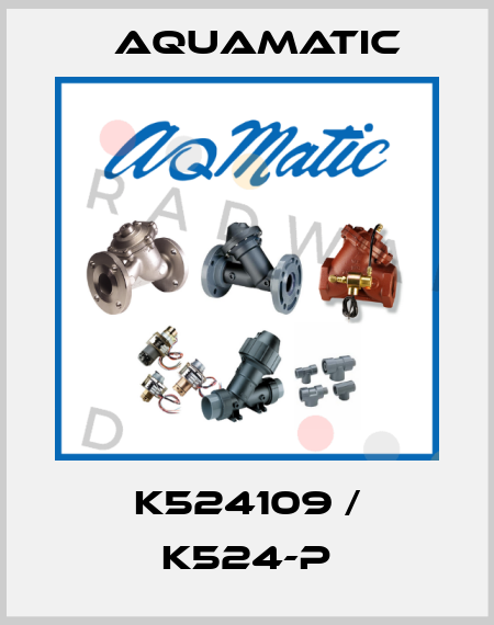 K524109 / K524-P AquaMatic