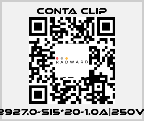 2927.0-SI5*20-1.0A|250V| Conta Clip