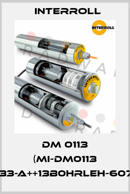 DM 0113 (MI-DM0113 DM1133-A++13B0HRLEH-607mm) Interroll