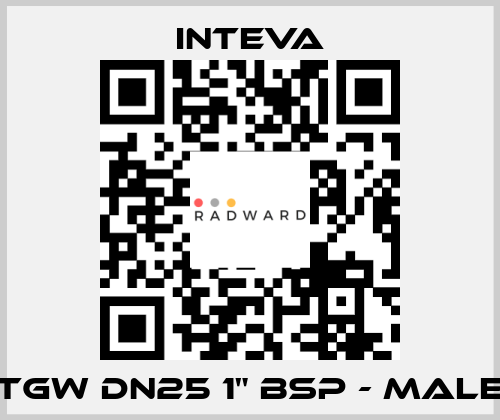 TGW DN25 1" BSP - male Inteva