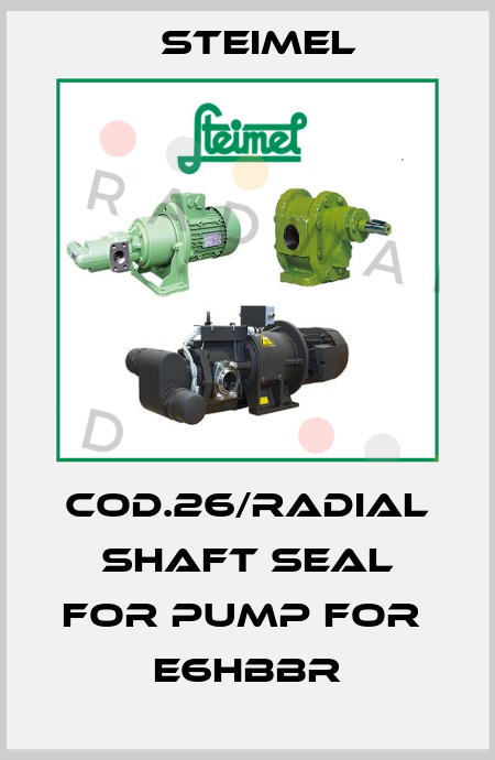 cod.26/radial shaft seal for pump for  E6HBBR Steimel
