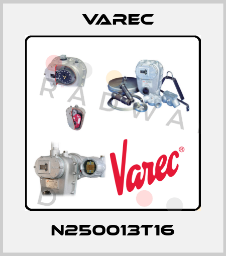 N250013T16 Varec