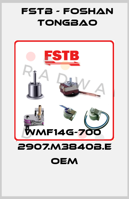 WMF14G-700  2907.M3840B.E OEM FSTB - Foshan Tongbao