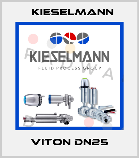 VITON DN25 Kieselmann