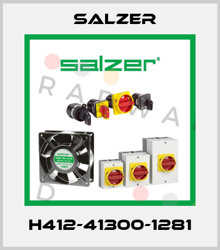 H412-41300-1281 Salzer