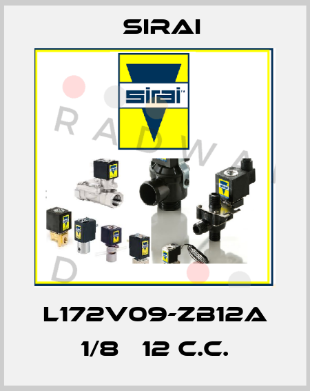L172V09-ZB12A 1/8   12 c.c. Sirai