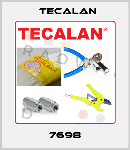 7698 Tecalan