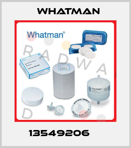 13549206     Whatman