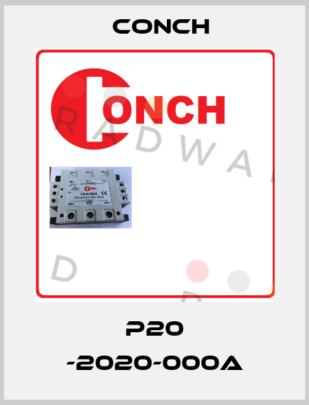 P20 -2020-000A Conch