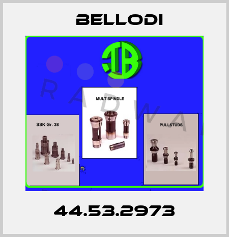 44.53.2973 Bellodi