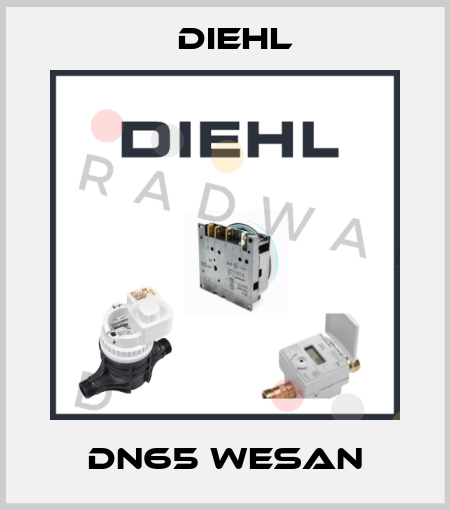 DN65 WESAN Diehl