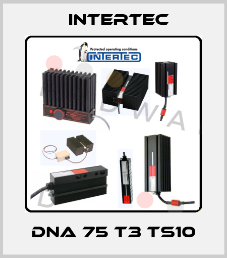 DNA 75 T3 TS10 Intertec