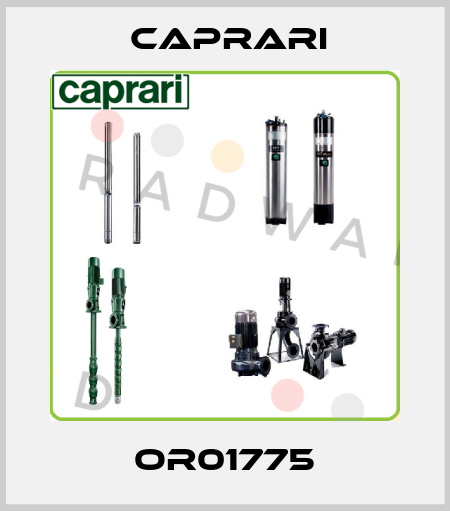 OR01775 CAPRARI 